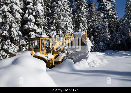 02/19/2018 Snow event. Ein Caterpillar 950 mit Gummibereifung artikuliert Lader Schneeräumen auf einem Berg Straße nördlich des Noxon, in Sanders County Montana. Stockfoto