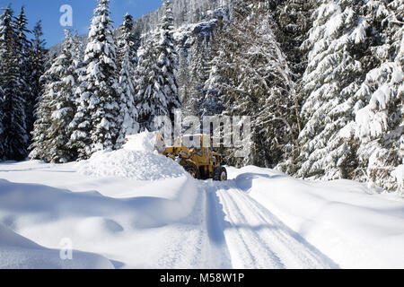 02/19/2018 Snow event. Ein Caterpillar 950 mit Gummibereifung artikuliert Lader Schneeräumen auf einem Berg Straße nördlich des Noxon, in Sanders County Montana. Stockfoto