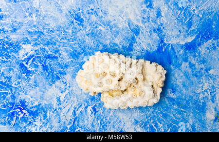 Kleine Coral Rock gegen den blauen Wasser wie Hintergrund Stockfoto