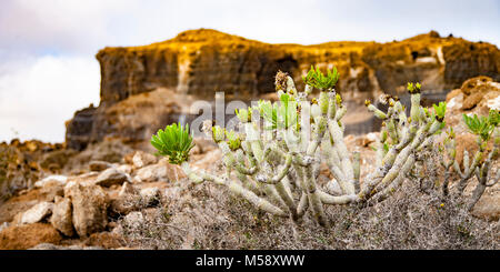 El Mojon vulkanischen Statuen auf der Kanarischen Inseln, Lanzarote Stockfoto