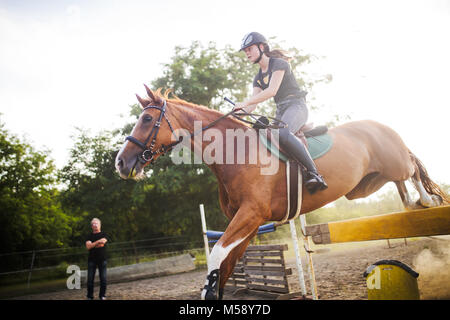 Junge weibliche Jockey auf dem Pferd springen über Hürde Stockfoto