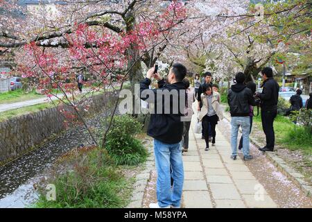 KYOTO, Japan - 16. APRIL 2012: die Menschen besuchen Philosoph der in Kyoto, Japan. Der Weg am Kanal ist eines der beliebtesten Cherry Blossom beobachten dest Stockfoto