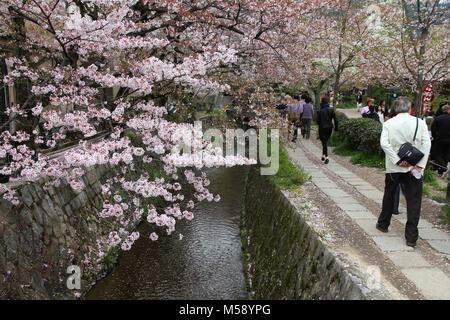 KYOTO, Japan - 16. APRIL 2012: die Menschen besuchen Philosoph der in Kyoto, Japan. Der Weg am Kanal ist eines der beliebtesten Cherry Blossom beobachten dest Stockfoto