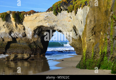 Natürliche Brücke auf Westcliff Drive in Santa Cruz, Kalifornien Stockfoto