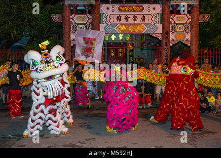 Die Teilnehmer in einem Tanz Löwe in der Mitte Herbst festiaval in Hoi An, Vietnam Stockfoto