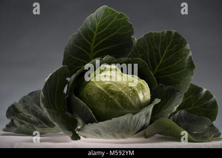 Gesunde Kohl in Wassertropfen bedeckt Stockfoto