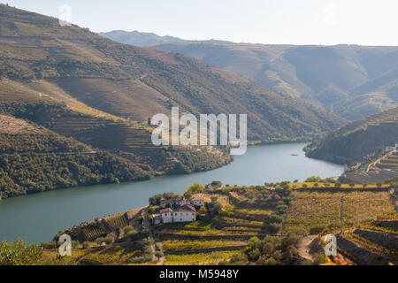 Douro mit Flusskreuzfahrt Boot in der Nähe von Pinhao, Flusskreuzfahrten auf dem Douro Tal, Portugal Stockfoto