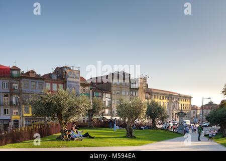 Das grüne Dach (Jardim das Oliveiras) in Porto neben Torre dos Clérigos, Porto, Portugal Stockfoto