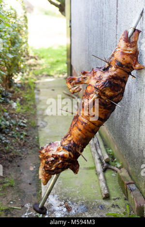 Gebratenes Schwein auf dem Rack, Schweinebraten am Spieß Stockfoto