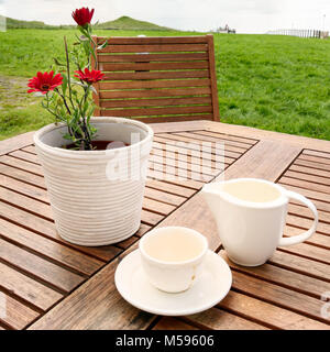 Leere weiße Tasse Kaffee und einem weißen Blumentopf mit roter Gänseblümchen im Freien in Videy Insel in der Nähe von Reykjavik, Island. Stockfoto