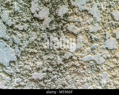 Close-up Old Brick Wall mit Moos und Flechten. Moos wächst auf alten Mauer. Moos wächst in der Regel unter Bäumen oder feuchten Wandflächen. Stockfoto