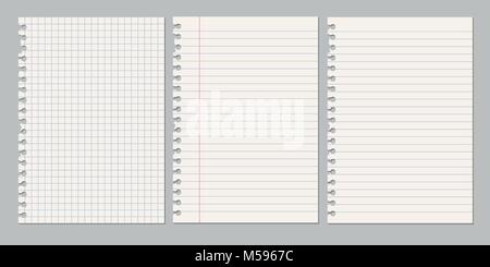 Der Vektor realistische Illustrationen von ein zerrissenes Blatt Papier aus einer Arbeitsmappe mit Schatten, auf einem grauen Hintergrund isoliert Stock Vektor