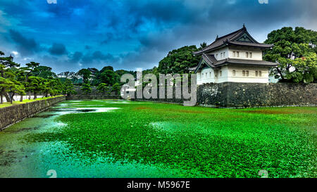 Kaiserpalast von Tokio in Japan im Sommer Stockfoto