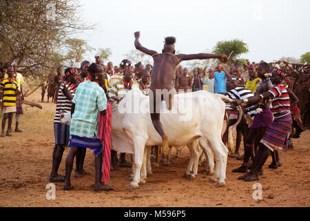 Junger Mann vom Hamer Stamm während bull Sprung, der letzte Test, bevor es ins Erwachsenenalter. Untere Omo Valley - Äthiopien Stockfoto