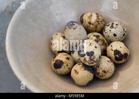 Wachteln Eier in einer Schüssel aus Keramik Stockfoto
