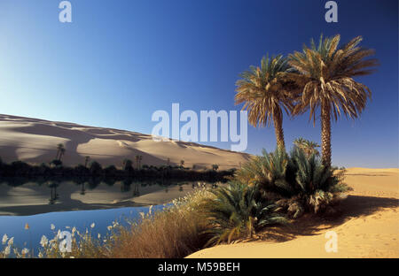 Libyen. Ubari. Sahara. Ubari Sandsea. Um El Ma Salt Lake. Oasis. Palmen. Wasser. Stockfoto