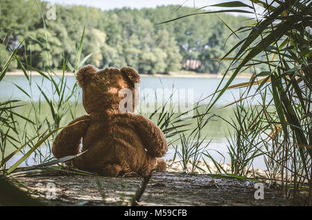 Teddybär Spielzeug zurück in die Kamera allein am See Stockfoto