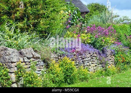 Vibrant pink, blau, gelb Blumen in voller Blüte wild wachsenden über Stein Wand in einem Cottage Garden, Cotswolds, UK, auf einem Sommer sonnigen Tag. Stockfoto