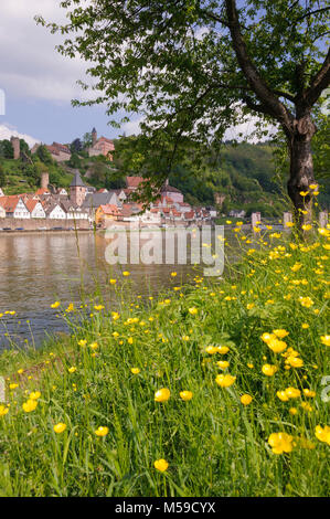 Hirschhorn am Neckar, Baden-Württemberg, Deutschland Stockfoto