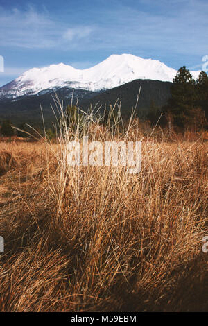 Mt. Shasta Stockfoto