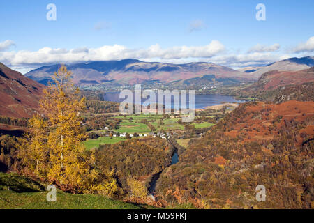 Derwentwater und entfernten Skiddaw von Burg Crag Borrowdale Lake District Stockfoto