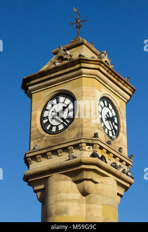 Die reich verzierten McKee Clock aus Sandstein gebaut und in der versunkenen Gärten in Bangor County Down Nordirland entfernt Stockfoto