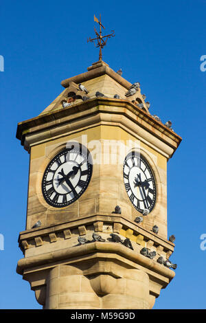 Die reich verzierten McKee Clock aus Sandstein gebaut und in der versunkenen Gärten in Bangor County Down Nordirland entfernt Stockfoto