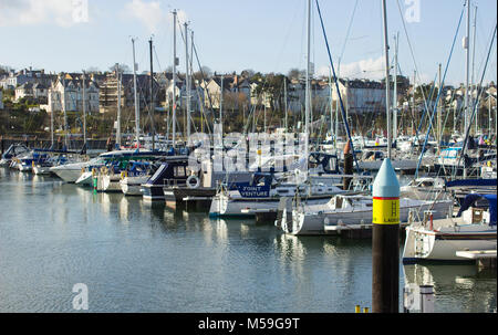 Yachten und Motorboote auf ihren Liegeplatz in der modernen Marina im County Down in Nordirland auf einem hellen späten Winter am Nachmittag Stockfoto