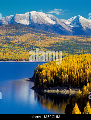 Hungry Horse Reservoir unterhalb der goldenen Lärche und Gipfeln der Flathead Range (großer nördlicher Berg und Mount Grant) in der Nähe von Hungry Horse, montana Stockfoto