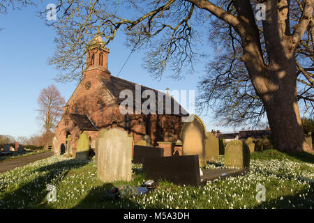 Dorf von Coddington, England. Malerische späten Winter Blick auf schneeglöckchen vor der St. Mary's Kirche, in der Cheshire Dorf Coddington. Stockfoto