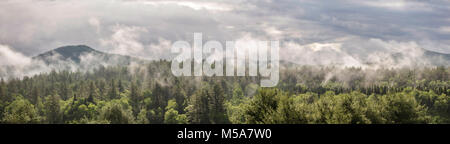 Panoramablick von Nebel über den grünen Bergen, Vermont, United States rolling Stockfoto