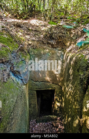 Italien, Toskana, Baratti Archeologica etruskischen Park, Archäologie, Grab Stockfoto