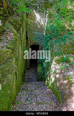 Italien, Toskana, Baratti Archeologica etruskischen Park, Archäologie, Grab Stockfoto