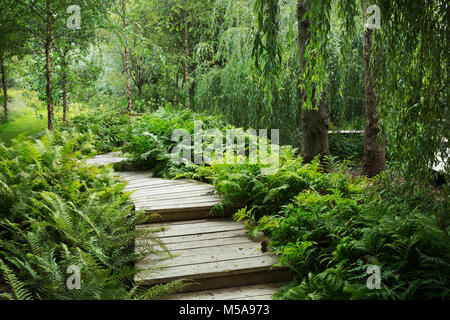 Willow Bäume und Farne um geschwungenen hölzernen Boardwalk in einem Garten wachsen. Stockfoto