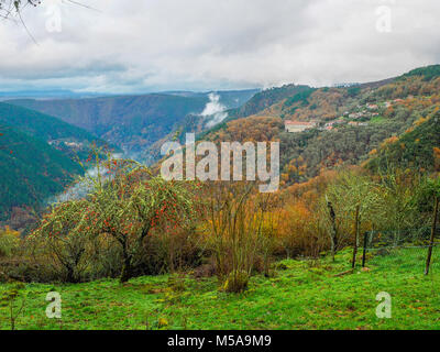 Landschaften der Ribeira Sacra in der Cañones del Río Sil in Ourense, Galizien. Spanien Stockfoto