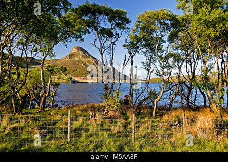 Cregennan Seen in Snowdonia an einem Sommertag Stockfoto