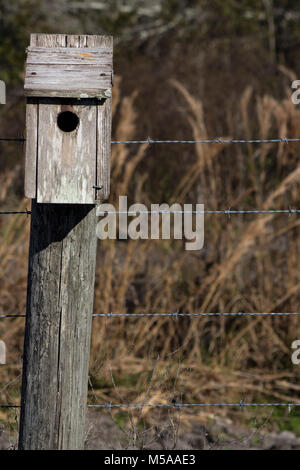 Vogel Haus auf einem schiefen Zaunpfosten Stockfoto