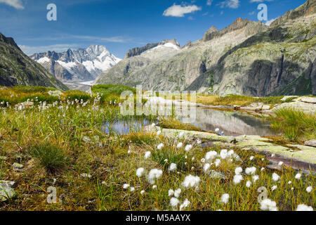 Schweizer Alpen im Herbst, Grimselsee, Bern, Schweiz Stockfoto