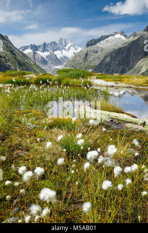 Schweizer Alpen im Herbst, Grimselsee, Bern, Schweiz Stockfoto