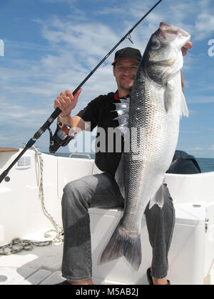 Lucky Fisherman Holding eine große Seebarsch Stockfoto