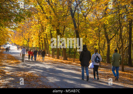 Der Retiro-Park im Herbst. Madrid, Spanien. Stockfoto