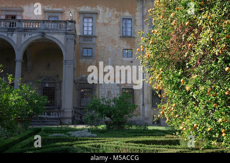 Giardino Corsini al Prato, Florenz, Toskana, Italien: Blick auf den Palast über der Box Hedging mit einer Zitrone Baum im Vordergrund. Stockfoto