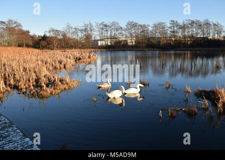 "Helix neue Bike'' Aufbau Digital' 'Park' 2 Falkirk ''Scotland', Stockfoto