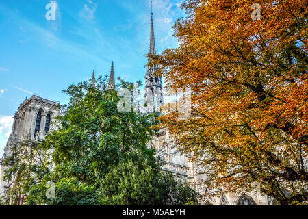 Die Kathedrale Notre Dame mit den Aposteln des hl. Lukas klettern die gotische Turmspitze an einem sonnigen Herbsttag in Paris Frankreich Stockfoto