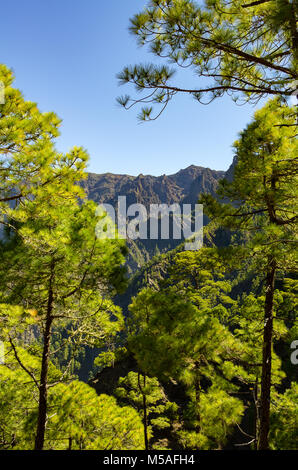 Blick auf La Palma, die Caldera de Taburiente, reichen aus Sicht Cumbrecita Stockfoto