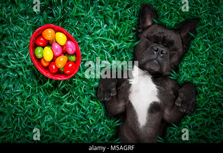 Leidenschaftlich gerne Französische Bulldogge Osterhase Hund mit viel Eier um auf Gras und Korb, Schlafen und in dieser Saison ruhen Stockfoto
