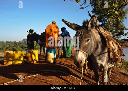 Frauen Sammeln von Wasser von einem Teich (Äthiopien). Sie gehören zu den Borana Stamm. Stockfoto