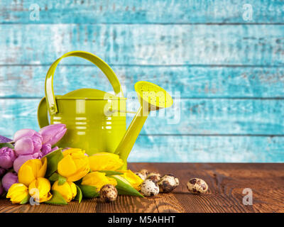 Blumenstrauß aus farbigen Tulpen mit Gießkanne auf vintage Holzbohlen platziert. Frühling und Ostern Hintergrund mit Kopie Raum Stockfoto