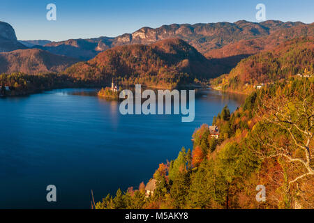 Bled, Slowenien - Panoramablick auf die Skyline Blick auf den Bleder See mit warmen Herbst Laub und die berühmte Wallfahrtskirche Mariä Himmelfahrt der Maria und die Alpen. Stockfoto