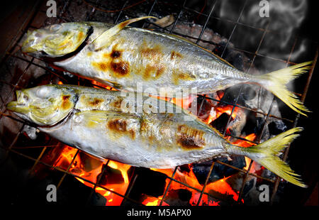 Indische Makrele fisch Grill auf der Holzkohle kochen Foto in flash Beleuchtung. Stockfoto